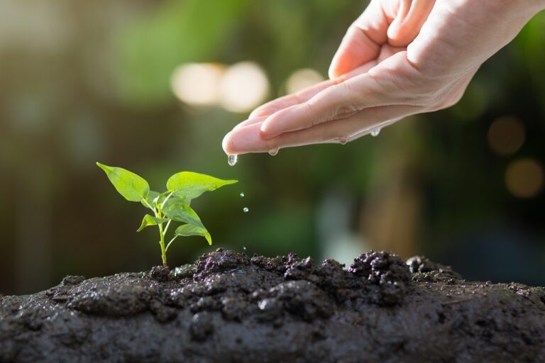 Never Stop Growing