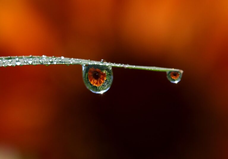 Love as water. A deeper truth about true love.